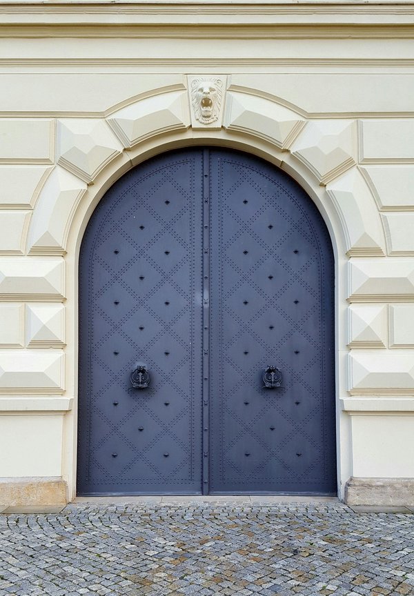 Elevate your interiors with custom modern steel doors